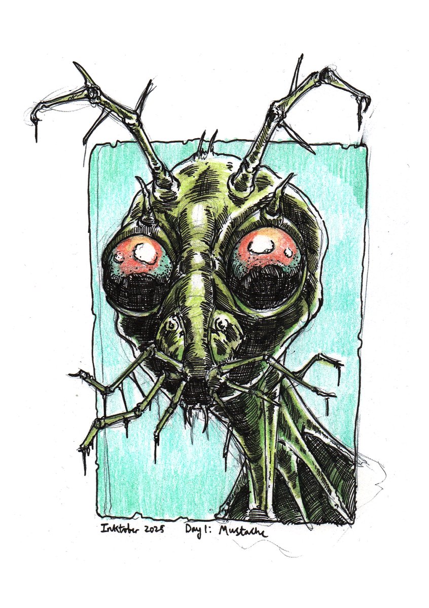 Bastian Const tweet media