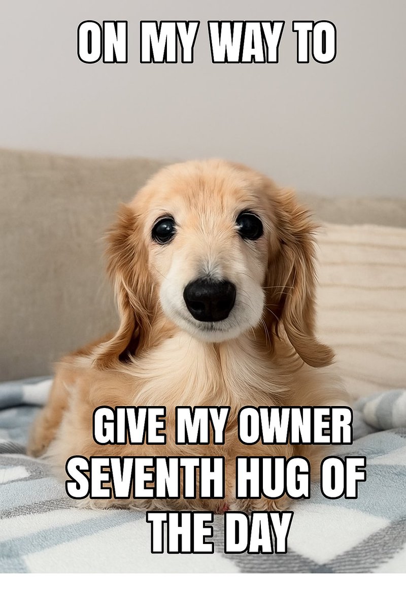 My contribution to the community. $Bella

86R3YAYXMXvk3VdrC6evNVfRNE2HHUo29ziqvxj5pump