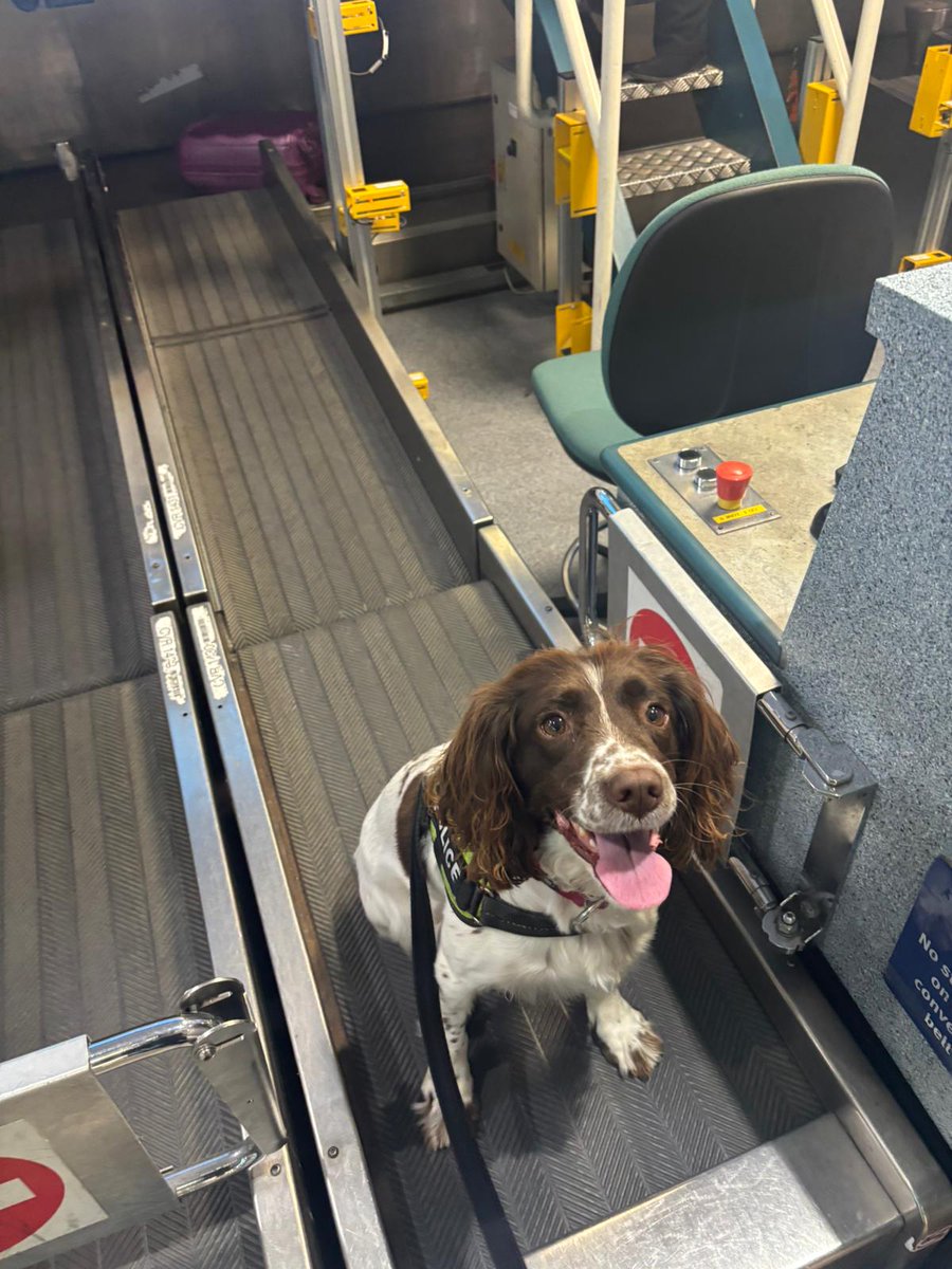 WMP Dog Unit tweet media