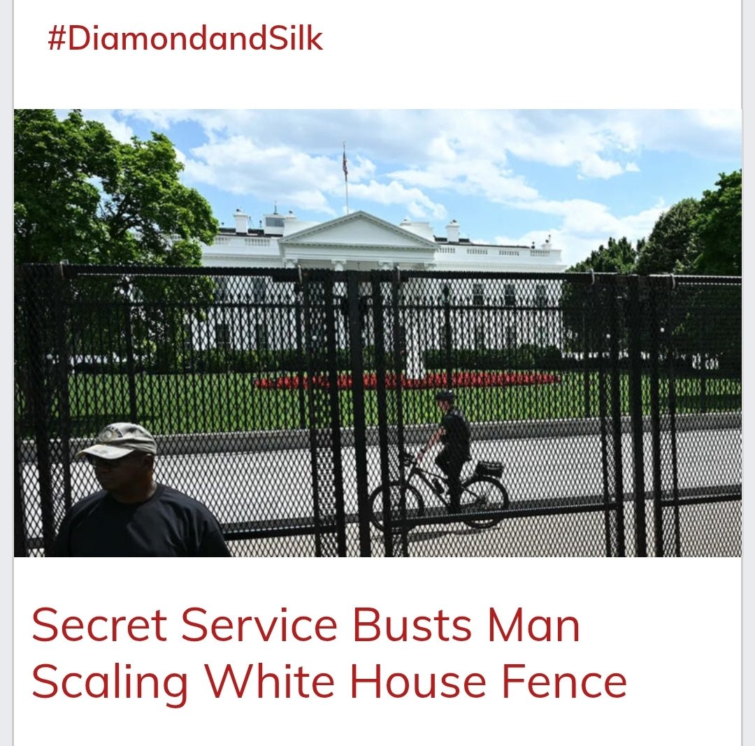 Diamond and Silk® (@diamondandsilk) on Twitter photo Secret Service Busts Man Scaling White House Fence. Secret Service Busts Man Scaling White House Fence.