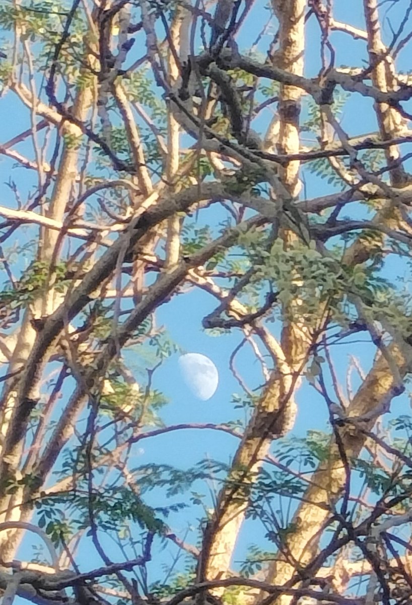 b23_bbc's tweet photo. Linda tarde desde Lajas PR, hora 5:30 pm @DeborahTiempo https://t.co/s8rDPL1N7s