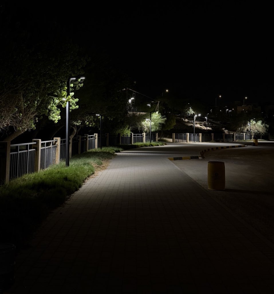 ليل، هدوء، اضاءة خافته، اشجار..
متطلباتي بسيطة جداً لتصفية الذهن