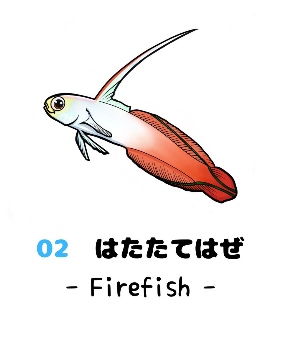 なさふ@海の生き物イラスト (@sealifeart_nsf) / Posts / X