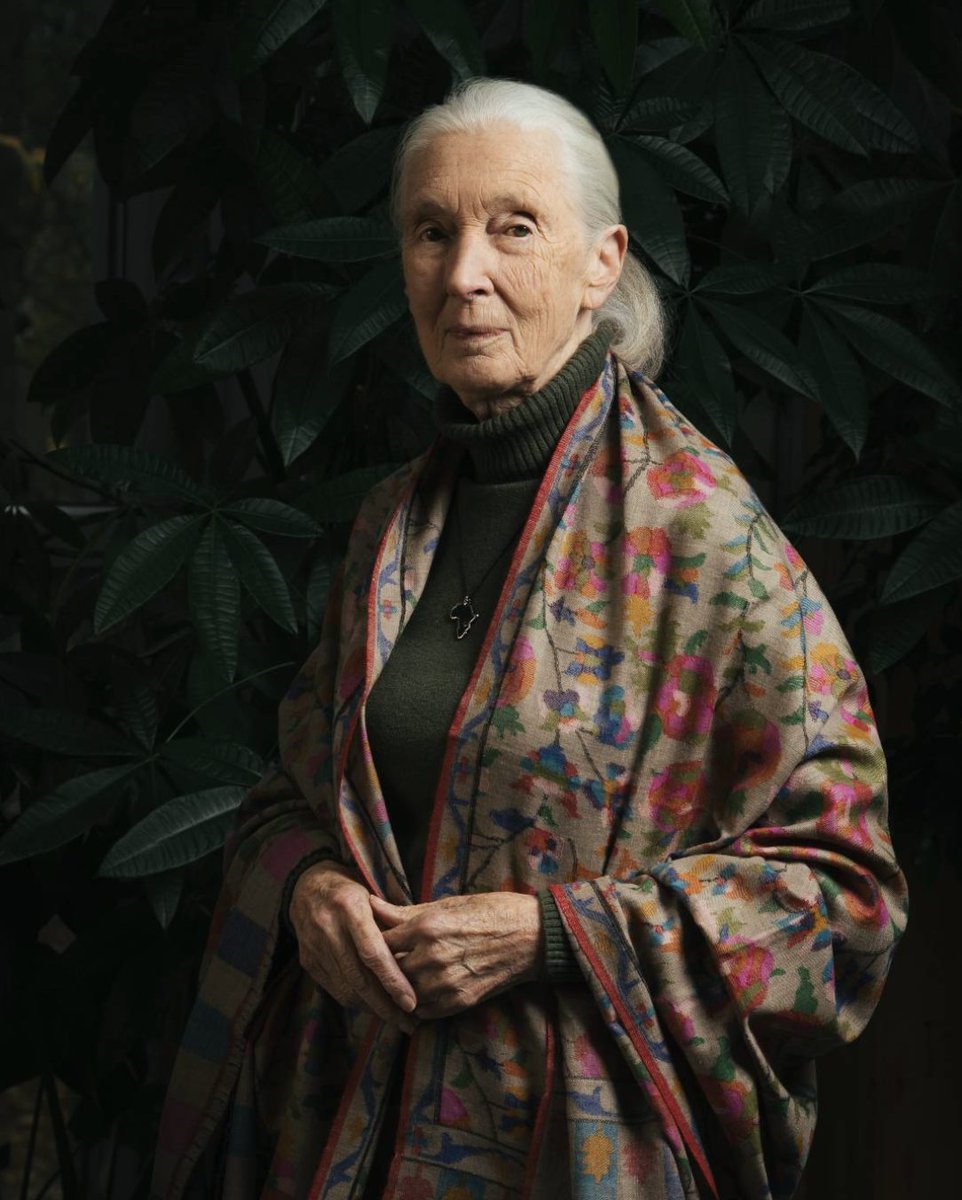 janegoodallau's tweet image. The Jane Goodall Institute has learned this morning, Wednesday, October 1, 2025, that Dr. Jane Goodall DBE, UN Messenger of Peace and Founder of the Jane Goodall Institute has passed away due to natural causes. 

Photo credit: Marko Zlousic