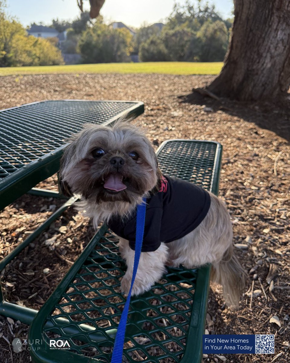 AzuriRealty's tweet image. Austin in the fall just hits different. The mornings are cooler, the leaves start showing off, and suddenly patio season feels perfect. ☕✨

#AzuriGroupTX #AustinLiving #FallInAustin