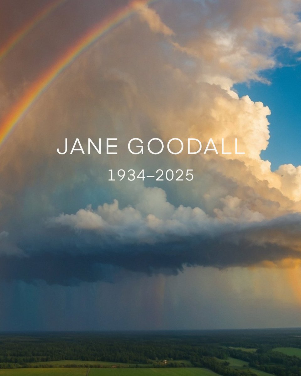 FarmSanctuary's tweet photo. Farm Sanctuary is saddened by the passing of Dr. Jane Goodall, a tireless animal advocate.

Rest in peace, Jane. Thank you for showing the world that animals deserve love and respect. 💚

Quote sourced from https://t.co/T5eYEdcr9N, originally written for the Cows Foundation. https://t.co/gSRp9988G1
