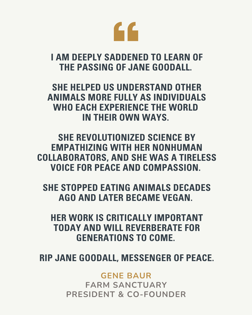 FarmSanctuary's tweet photo. Farm Sanctuary is saddened by the passing of Dr. Jane Goodall, a tireless animal advocate.

Rest in peace, Jane. Thank you for showing the world that animals deserve love and respect. 💚

Quote sourced from https://t.co/T5eYEdcr9N, originally written for the Cows Foundation. https://t.co/gSRp9988G1