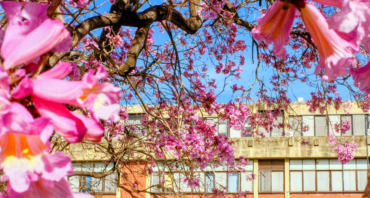 Primavera
<a href="/Exactas_UBA/">Exactas UBA</a>