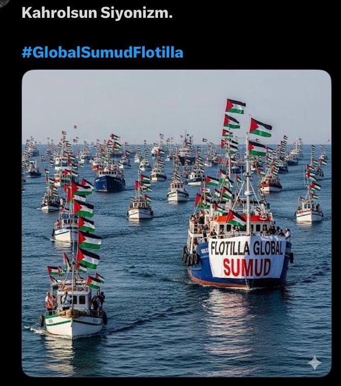 Sami YILMAZ (@samiyilmaz43) on Twitter photo 