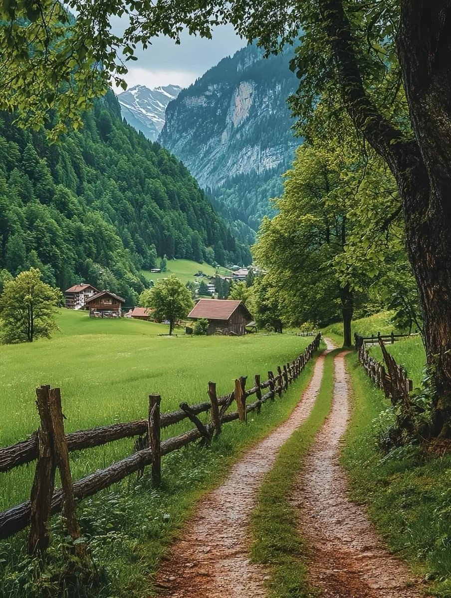 greendreamvibes's tweet image. 