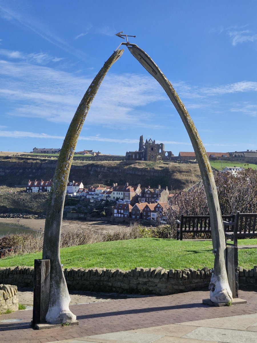 Ali Garb 😊🐞🐛🦋 tweet media