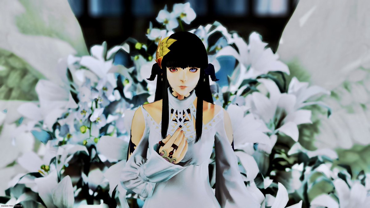 おはようございます✨
今日も皆さんにとって良き日でありますように〜🍀
#SSP_FF14 #eligoya #FF14 #FF14SS #FFXIV #ffxivsnaps #アウラ #本日のアウラ #おはウラ