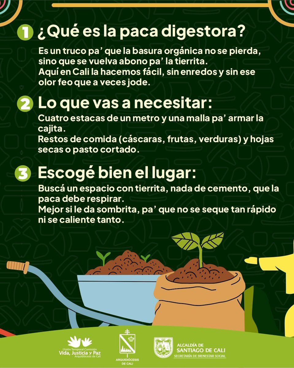 PaSocialCali's tweet photo. ¡En la #SemanaDeLaBiodiversidad te enseñamos como crear una paca digestora! ✅ 

¿Sabías que en los #comedorescomunitarios tenemos huertas con pacas digestoras? Esto permite que los residuos de los alimentos que se preparan contribuyan al medio ambiente. 🌱 https://t.co/yiPIXKrkmy