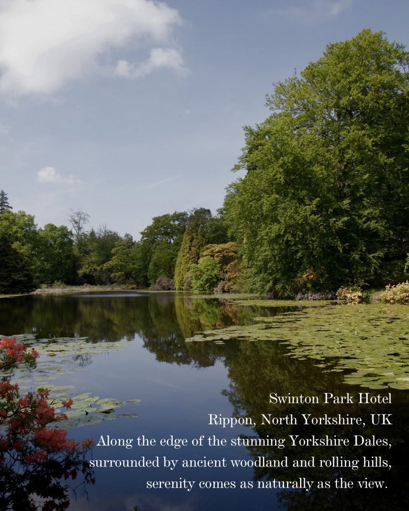 Stay Beyond Green tweet media