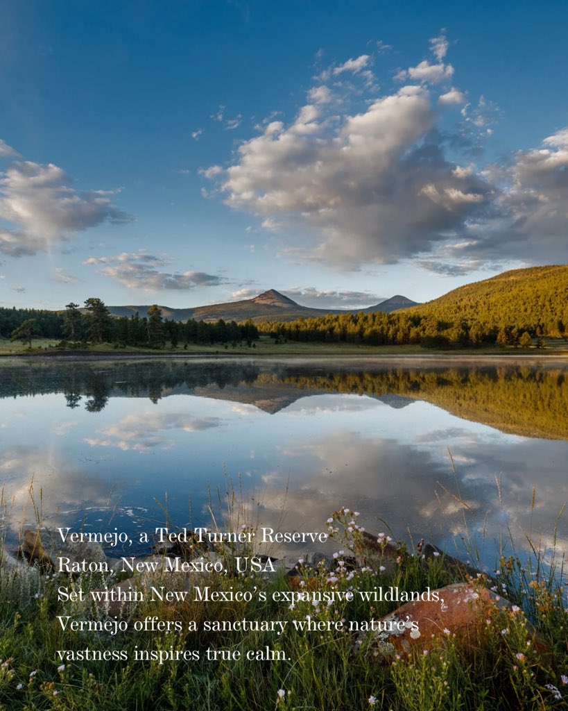 Stay Beyond Green tweet media