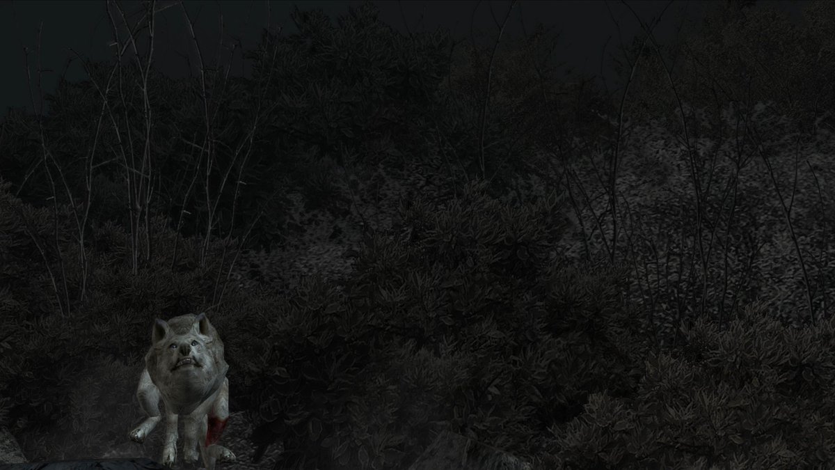 SarcosuchasG's tweet photo. Such a brave little derp.
#RE4 #residentevil4 #residentevil #biohazard #biohazardresidentevil #biohazard4 #bio4 #REBHFun https://t.co/78WQbBsclf