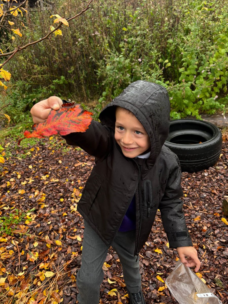 miss_dodwell's tweet photo. P1/2 showed true autumn spirit today – braving the rain to gather leaves for a special art project tomorrow 🍂🖌️ #OutdoorLearningWeek @StMonicaMilton https://t.co/JjdzL1U84V