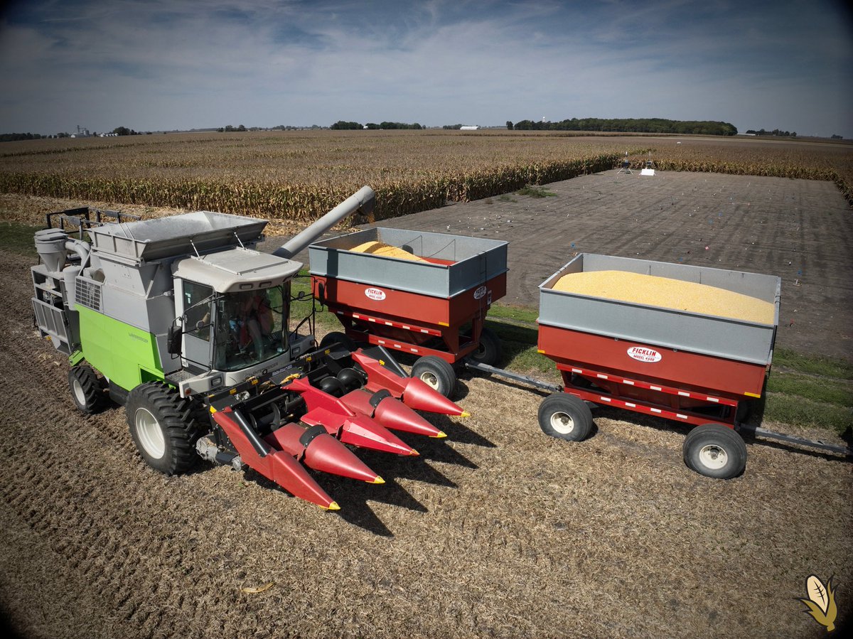 TheKernelLab's tweet image. This week we’ve been busy harvesting, and we know the effort it takes across the ag community. Harvest is a shared season of hard work, challenges, and opportunities.🌽🚜
Wishing everyone a safe and successful harvest season! ✨
#TheKernelLab #PurdueCornAgronomy #Harvest2025