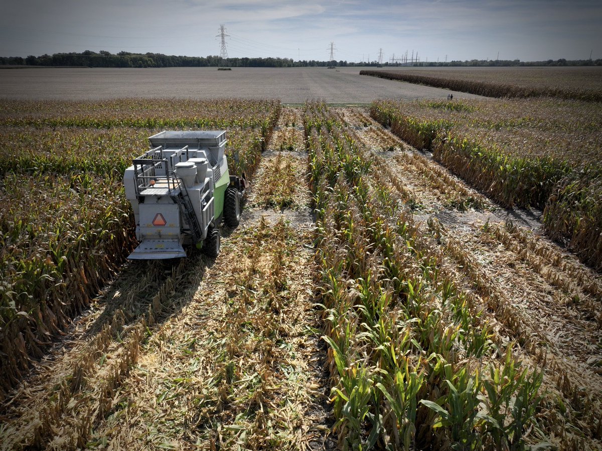 TheKernelLab's tweet image. This week we’ve been busy harvesting, and we know the effort it takes across the ag community. Harvest is a shared season of hard work, challenges, and opportunities.🌽🚜
Wishing everyone a safe and successful harvest season! ✨
#TheKernelLab #PurdueCornAgronomy #Harvest2025