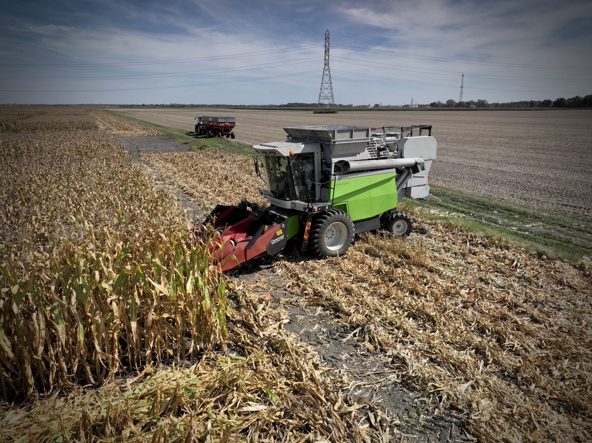 TheKernelLab's tweet image. This week we’ve been busy harvesting, and we know the effort it takes across the ag community. Harvest is a shared season of hard work, challenges, and opportunities.🌽🚜
Wishing everyone a safe and successful harvest season! ✨
#TheKernelLab #PurdueCornAgronomy #Harvest2025