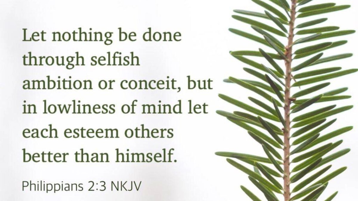 DarrellKoop's tweet image. 