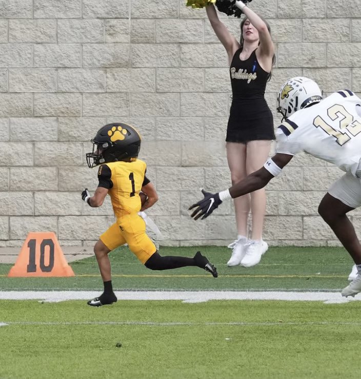 Bulldogs: Puppy Edition 🐶