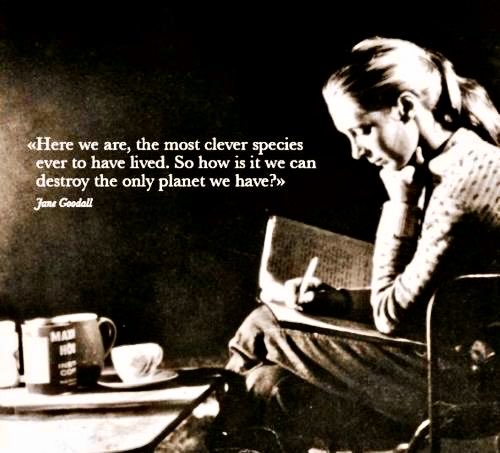 <a href="/ForbesWomen/">ForbesWomen</a> <a href="/JaneGoodallInst/">Dr. Jane Goodall & the Jane Goodall Institute</a> She had a keen intellect and a profound understanding of the connection between humans and the planet..
RIP Jane…