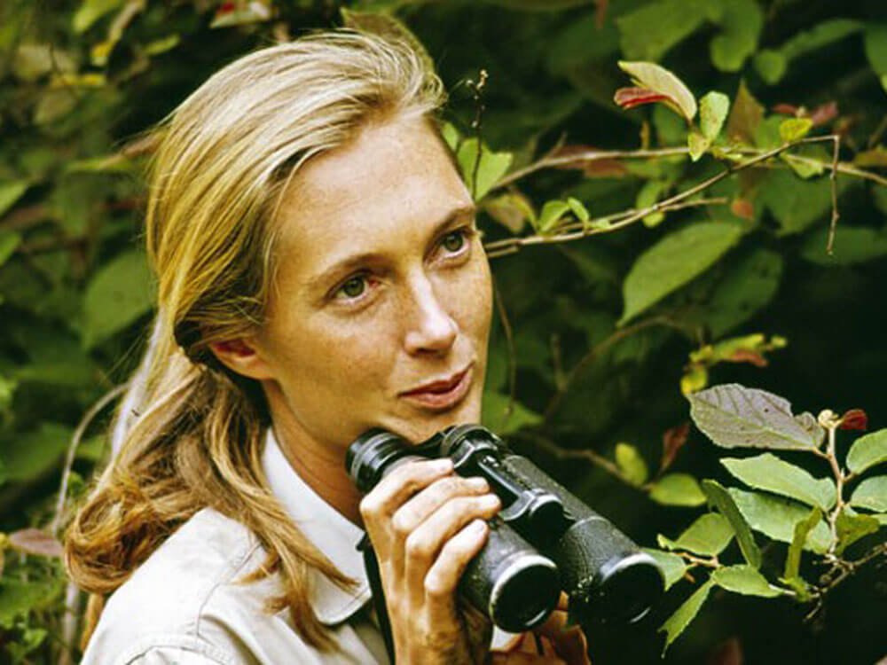 Dr Jane Goodall Dies at Age 91.