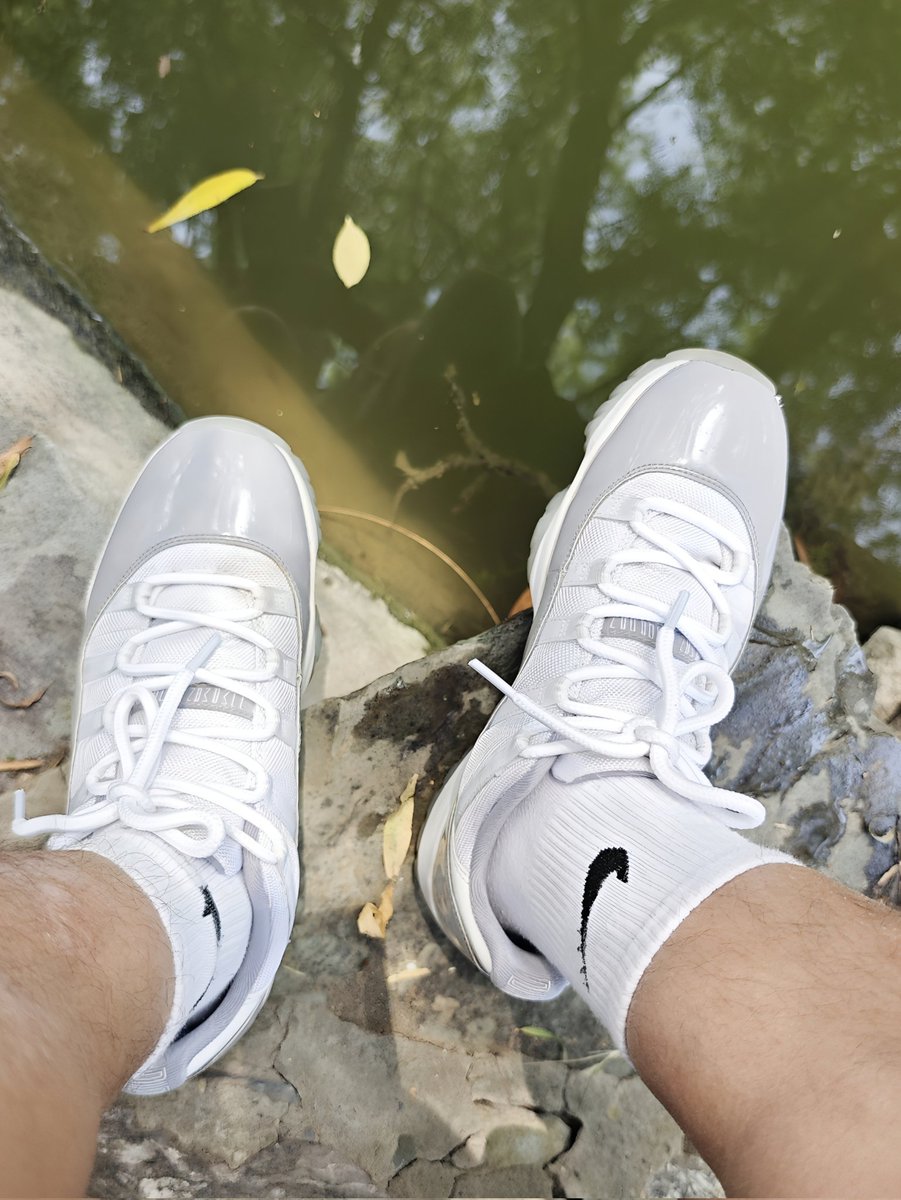 ardymoon tweet media