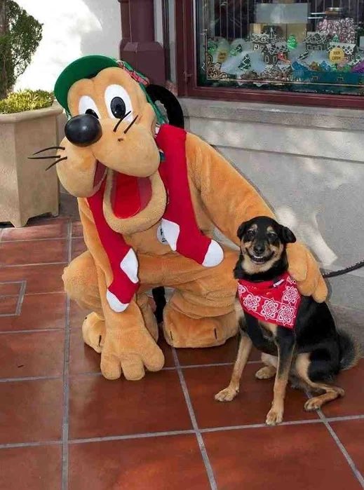 @LuisValLe tweet media