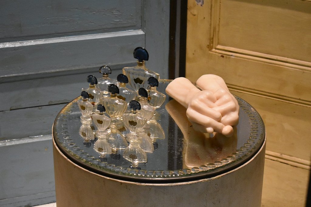 alexandra tweet media