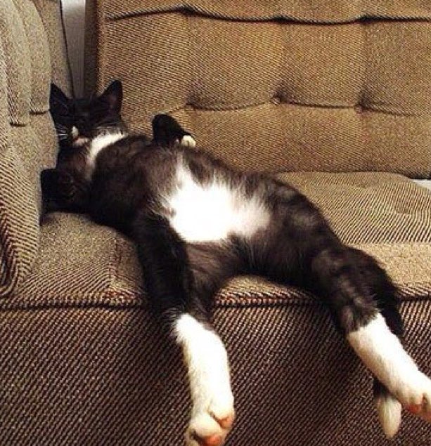 One minute you're young and the next you're falling asleep like this at 6pm.