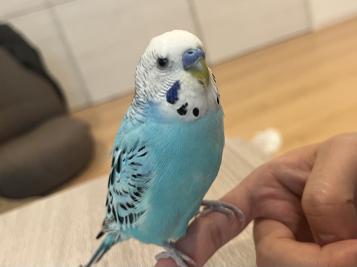 プンプン顔のなっちゃん😠