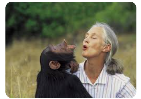 Live your life with the same love, kindness, strength, and courage Jane Goodall had.
She was a great soul. Truly great, and noble. We've lost her light and it's up to the rest of us to shine even harder to make up for that loss.