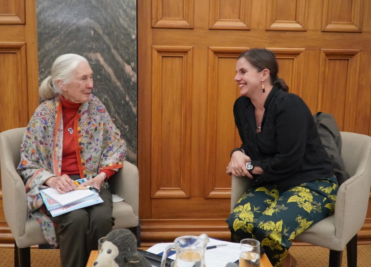 Forest_and_Bird's tweet photo. We are saddened by the passing of Dr Jane Goodall, a global icon of conservation whose life’s work transformed our understanding of the natural world and inspired millions to protect it.  

Dr Goodall was a great friend to conservation in Aotearoa New Zealand, bringing her international 'Reasons for Hope' tour to Wellington last June, aged 90.    

“I am deeply saddened to hear of Dr Jane Goodall's passing, and deeply grateful to have been inspired by her as a child, and lucky to have met with her on two separate occasions,” says Forest & Bird’s chief executive Nicola Toki. 

"She and I both shared a love for hope and action as a way to motivate people, and she absolutely loved the story of the Chatham Island black robin and its conservation recovery from just one viable female, Old Blue. 

"She also reminded me that hope isn't some overly optimistic wishing for things to happen, but rather ‘dogged determination to do what is in our power to make the better future we wish for actually happen’. She certainly did that. Moe mai rā e te Rangatira.”    

Dr Goodall shared her lifelong conservation story during her visit to Parliament in 2024, which was hosted by Governor-General Dame Cindy Kiro and supported by Forest & Bird and other partners. In her on-stage conversation with Nicola, she highlighted the power of young people to drive change, especially through creative communication and community action.    

Jane visited New Zealand on a number of occasions, and in 2017, the Jane Goodall Institute NZ was launched at Te Papa. Jane’s passion for educating children was central to her mission. Through the Roots & Shoots programme, she has inspired thousands of rangatahi across New Zealand and the world to take action for animals, people, and the environment.  

In 2019, Dr Goodall joined Forest & Bird and other leading environmental organisations to launch the Aotearoa Deal for Nature, a bold action plan to reverse our environmental crisis. She called on all New Zealanders to act urgently and take action to protect nature.  

She also brought joy to other lighter conservation moments, such as endorsing the hoiho yellow-eyed penguin in Forest & Bird’s Bird of the Year competition, helping secure its second title.    

Dr Goodall famously said: "The greatest danger to our future is apathy. You cannot get through a single day without having an impact on the world around you." Forest & Bird hopes to continue honour that legacy.  

Our thoughts are with her whānau, friends, and the global community of conservationists who carry her light forward. 

📷The late Dr Jane Goodall in conversation with Nicola Toki, Wellington, 2024 during her Reasons for Hope speaking tour. Photo credit Lynn Freeman.