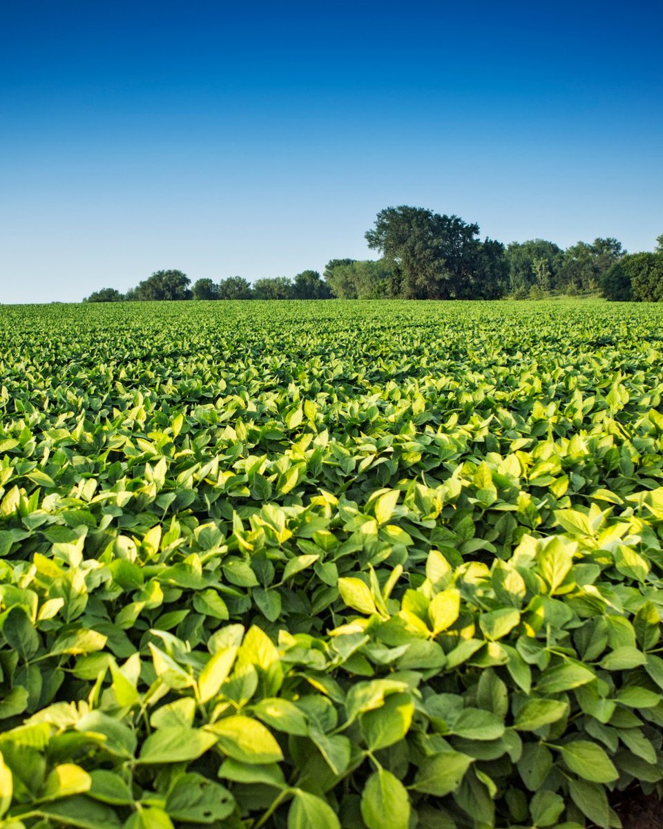 Food Plant Solutions tweet media