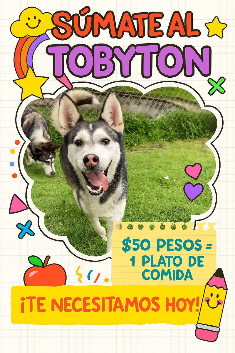 Comunidad Toby 🐾

Los necesitamos mucho hoy!!
Nos faltan $30 mil pesos para pagar todas las croquetas del mes y está en tus manos que nuestros muchachos rescatados tengan sus platitos llenos cada día 🩵💜🐾✨

Les hemos demostrado más de una vez que lo recaudado aquí SI es para