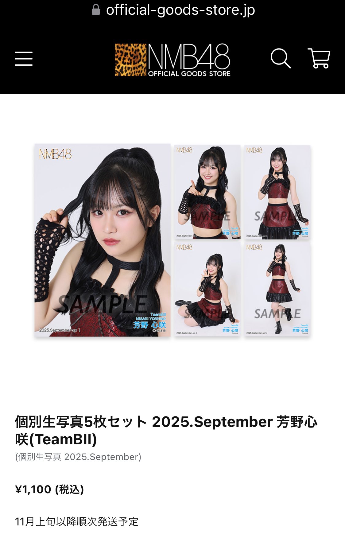 NMB48 芳野心咲 生写真 グッズセット 約150点 NMB48 芳野心咲 生写真 グッズセット 約150点