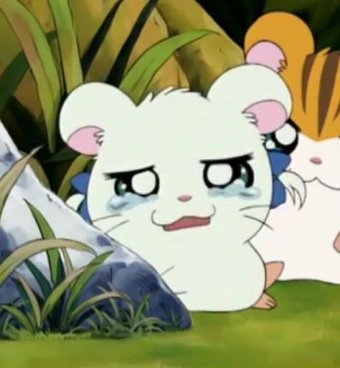 🎀リボン❤️ちゃん (@ribontixyan) / Posts / X