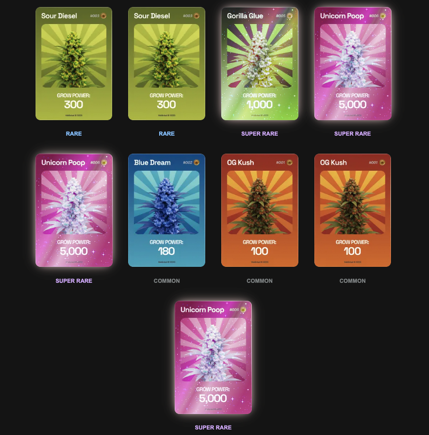 FlexiveStein's tweet photo. @addicteddotfun Think I hit a god pack https://t.co/BkHrrIB9s2