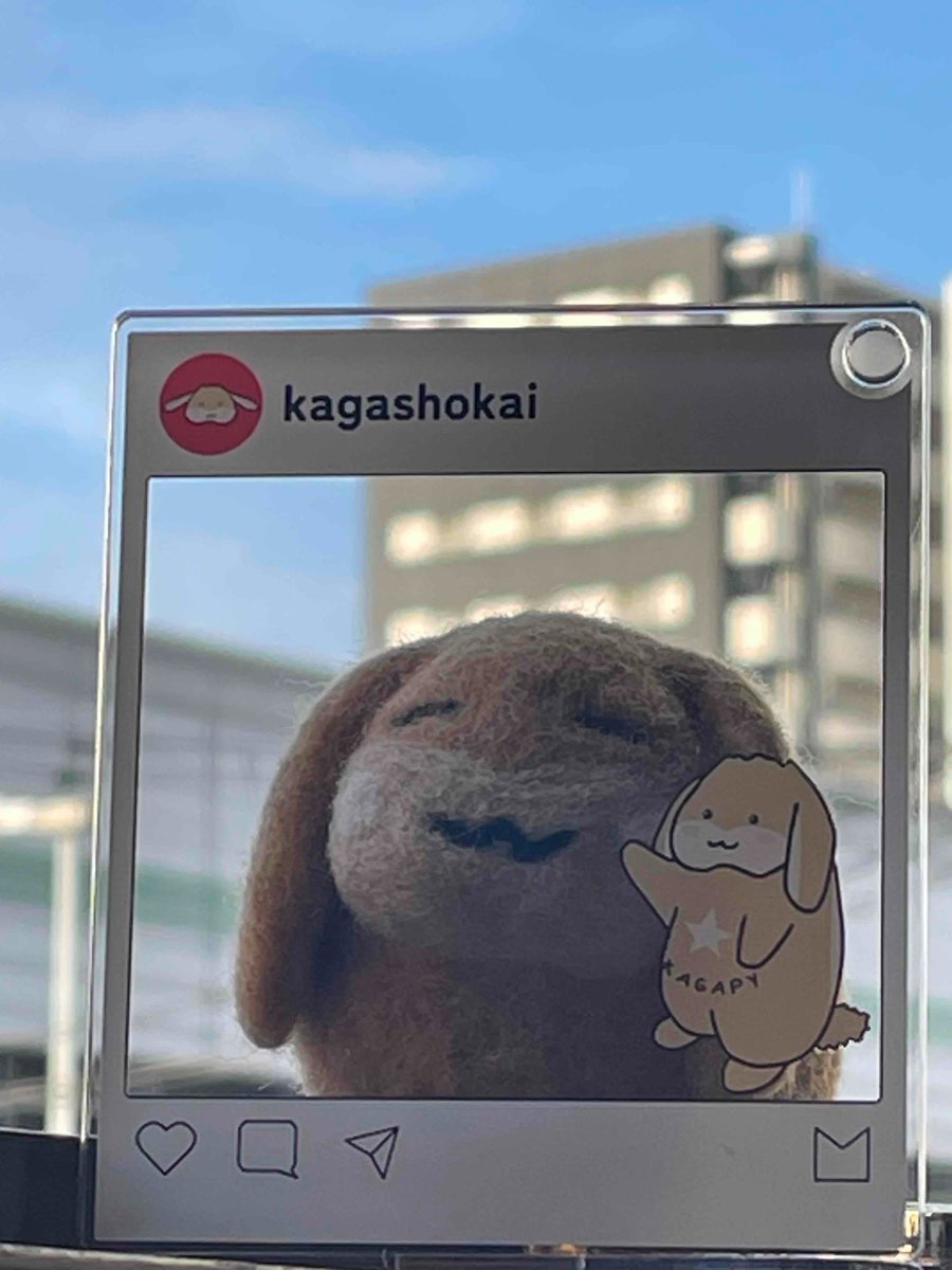 kagashokai's tweet image. おはッピー૮₍˶ᵔ ᵕ ᵔ˶₎ა
大阪（東大阪）の天気は☀️
今朝は肌寒かったです😉
#企業公式が毎朝地元の天気を言い合う
#企業公式相互フォロー

【今日は、スヌーピーの日】🐶
1950（昭和25）年、漫画『ピーナッツ』がアメリカの新聞7紙で掲載を開始しました✨…