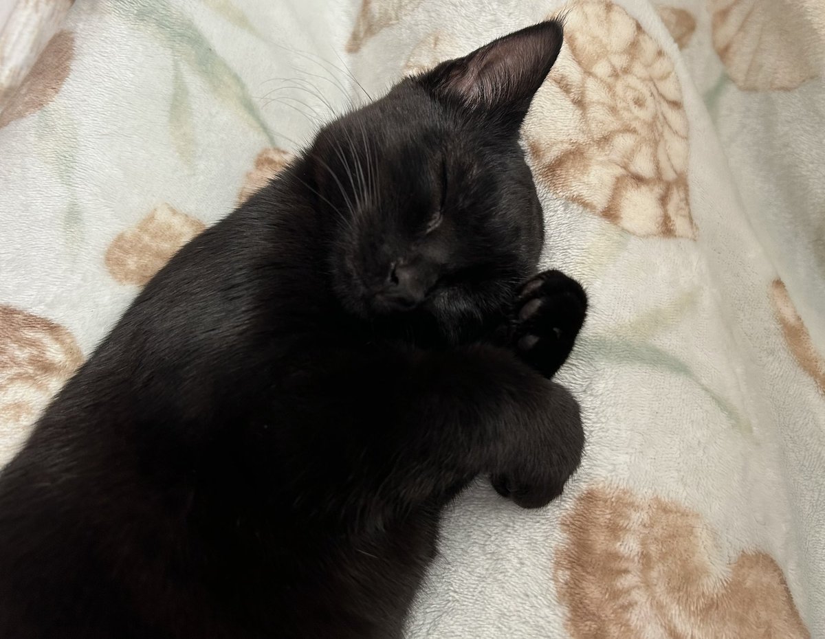 i look at her and burst into tears... she's perfect