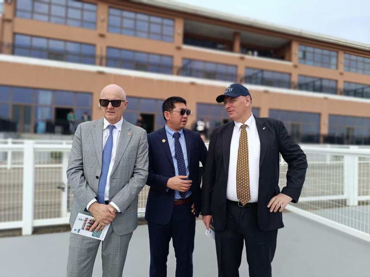 New Zealand Bloodstock tweet media