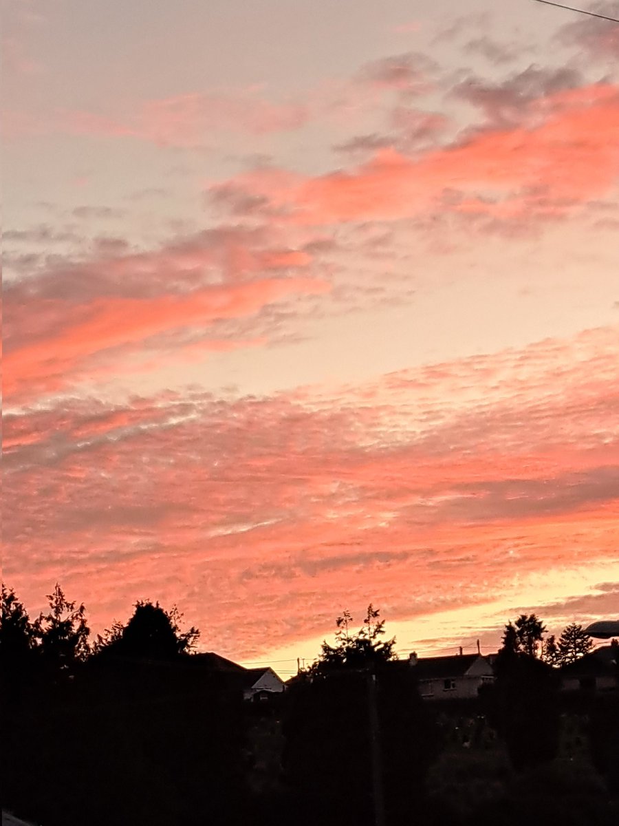 LuscombeMiriam's tweet photo. @prouddevonian I got this one a couple of evenings ago. https://t.co/TyzZUWvpyS