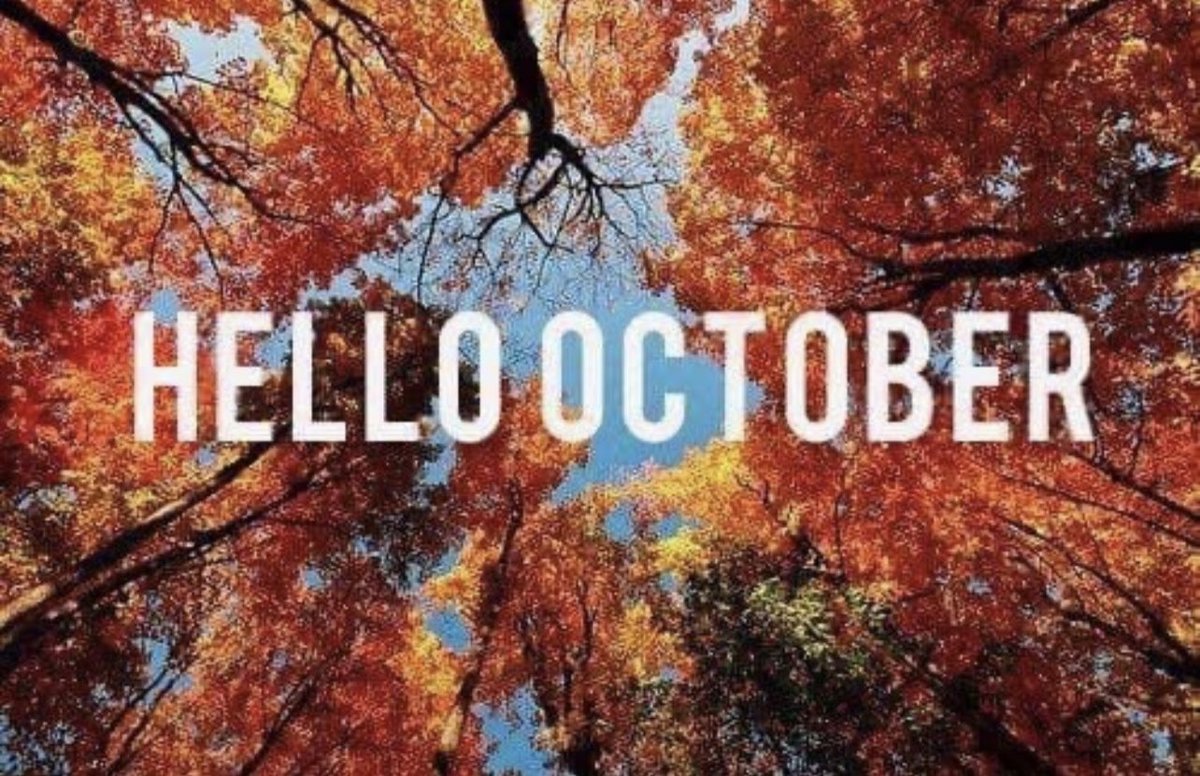 jankrav's tweet image. #OctoberOne