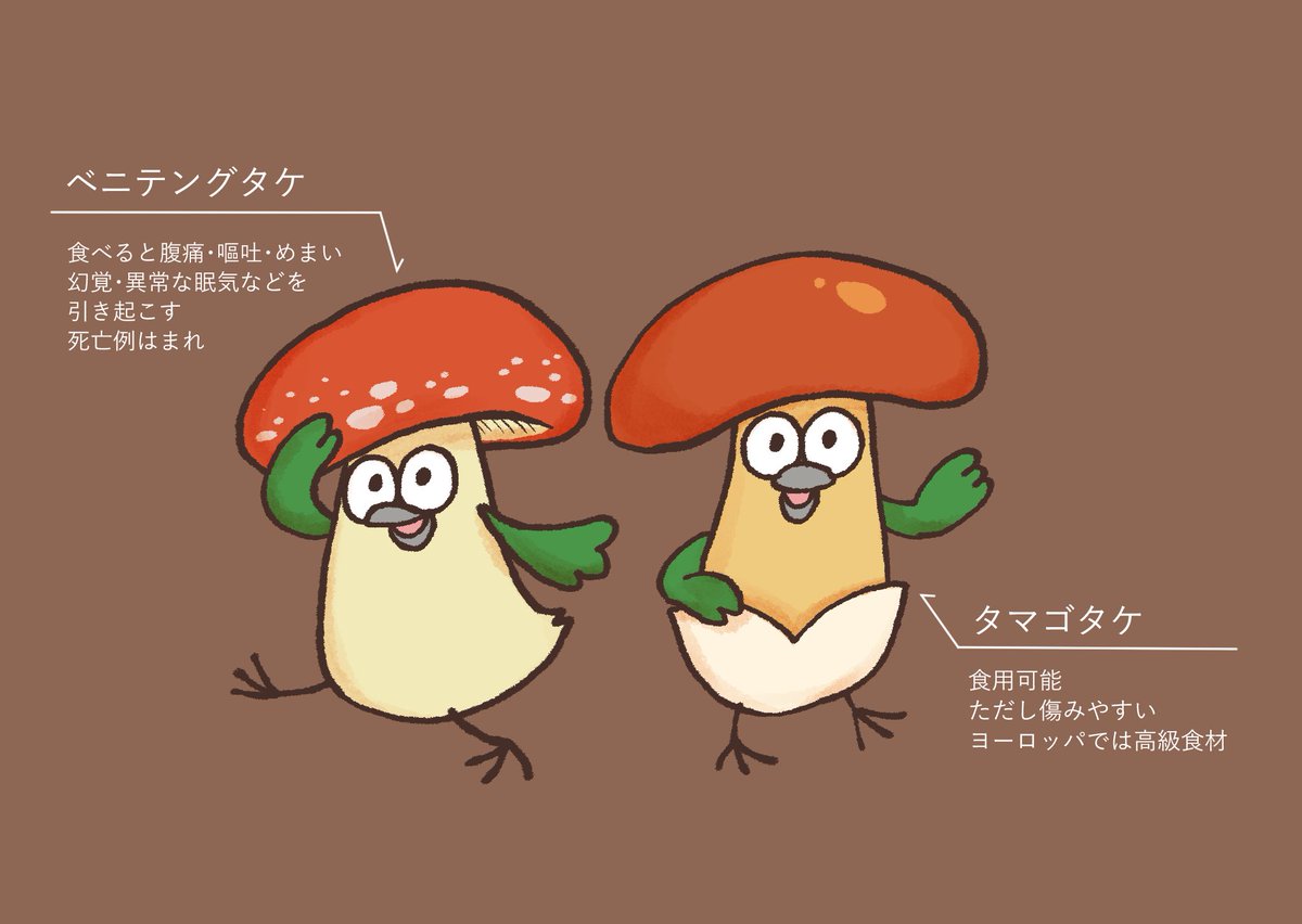 TKG🥕名ティア【E-47】 on X: 