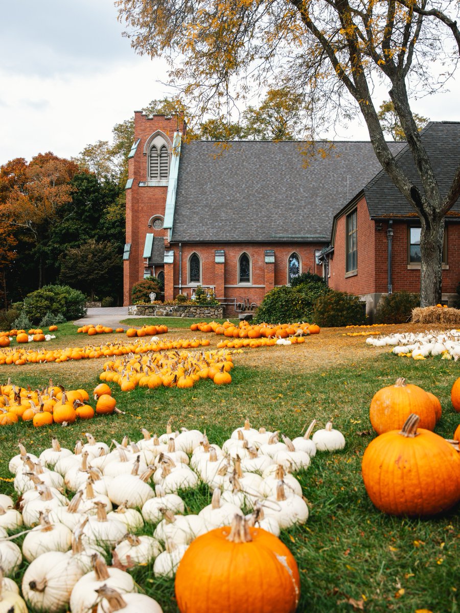 All you have to do is take your pick 🍎 🎃 💐 

When you find your hands itching for some pick-your-own experiences, we know a few spots...

Pick-Your-Own Farms + Orchards For Fall: bit.ly/3ZDMJ5D