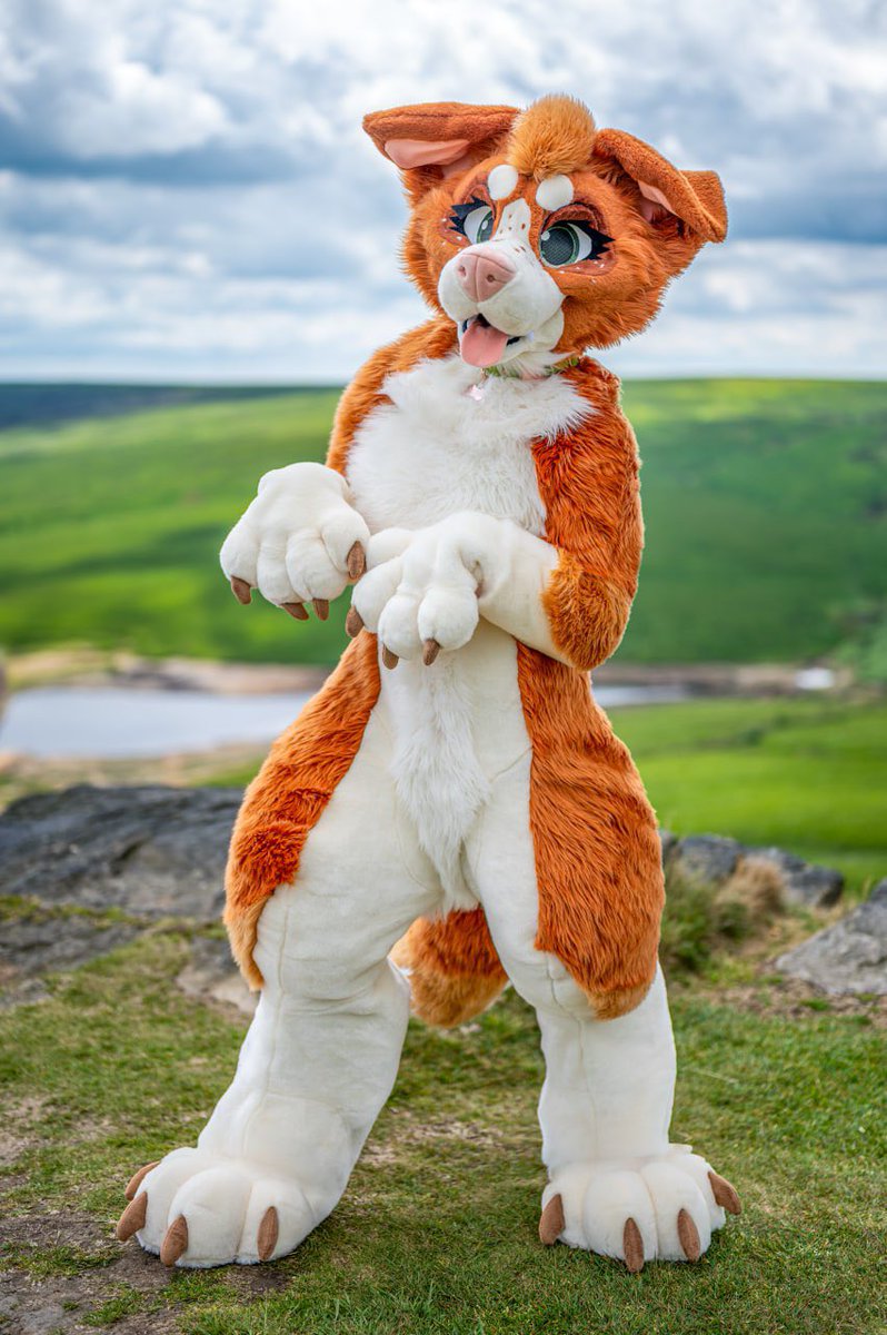 ๐ซ๐ฎ๐! โหโน ๐ฑ tweet media