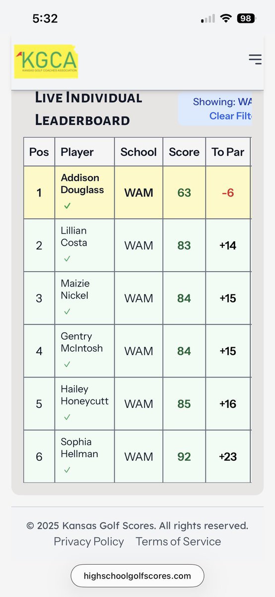 WamegoGolf tweet media
