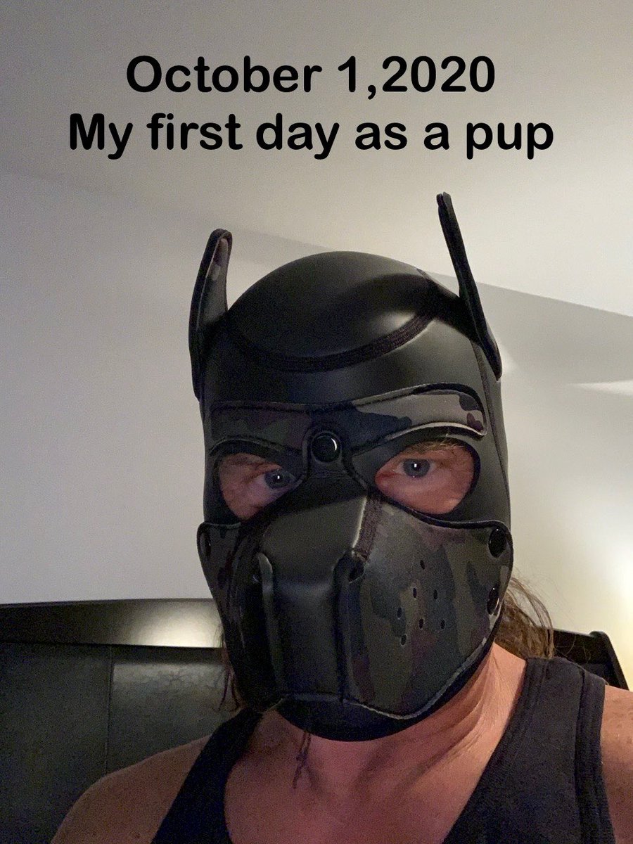 PupJedi (2k) tweet media